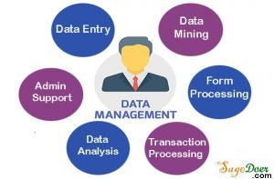 Cheap Data Management Service